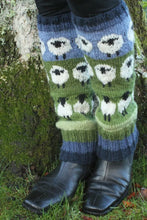 Flock of Sheep Legwarmers