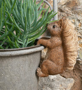 Beatrix Potter Pot Buddies