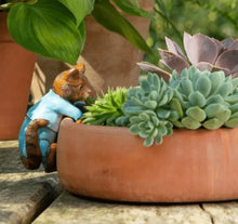 Beatrix Potter Pot Buddies