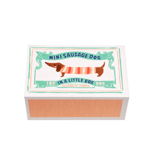 Dog in a Little Drawer
