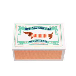 Dog in a Little Drawer