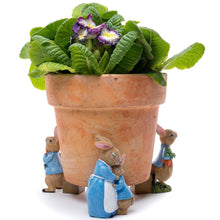 Peter Rabbit Pot Feet