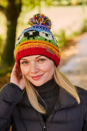 Black Sheep Roll Back Rainbow Beanie