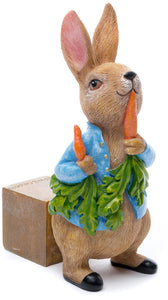 Peter Rabbit Pot Feet