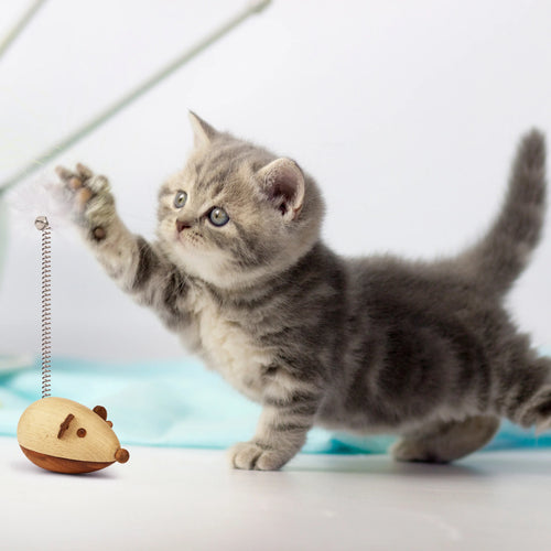 Wooden Cat Toy