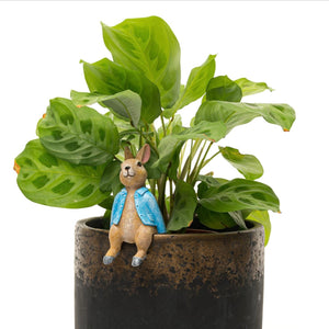 Beatrix Potter Pot Buddies