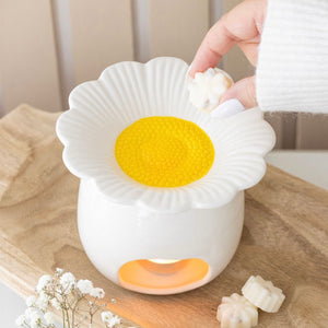 Daisy Oil Burner