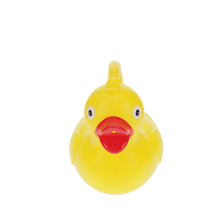 Rubber Duck Watering Can