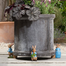 Peter Rabbit Pot Feet