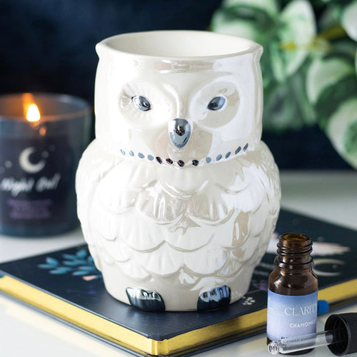 Iridescent Owl Oil Burner