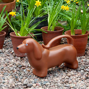Dog Watering Can
