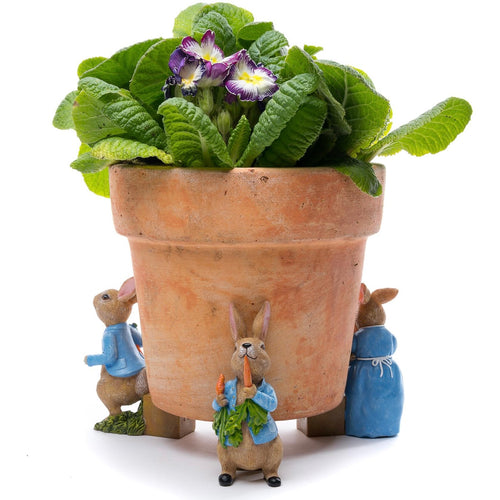 Peter Rabbit Pot Feet