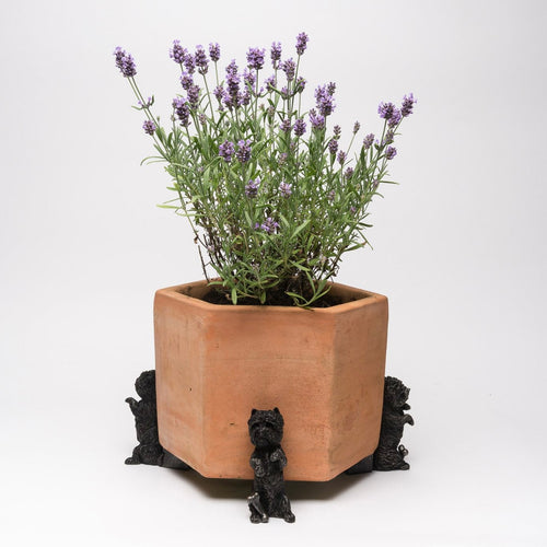 Jardinopia Potty Feet
