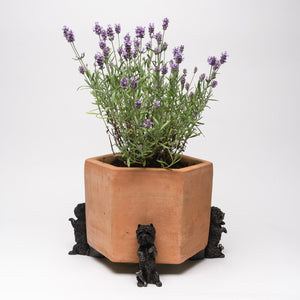 Jardinopia Potty Feet