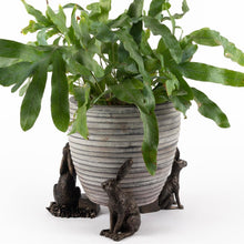Jardinopia Potty Feet