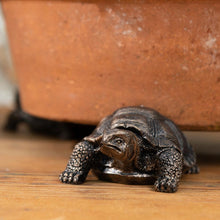 Jardinopia Potty Feet