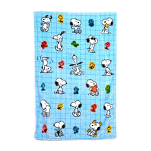 Snoopy Travel Cushion & Blanket