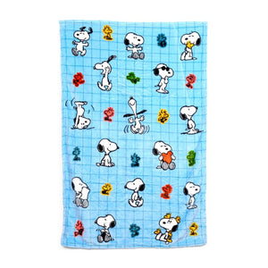 Snoopy Travel Cushion & Blanket