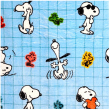 Snoopy Travel Cushion & Blanket