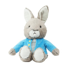 Warmies Peter Rabbit