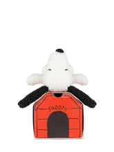 Snoopy Plush with Gift Box