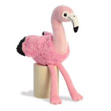Eco Nation Flamingo