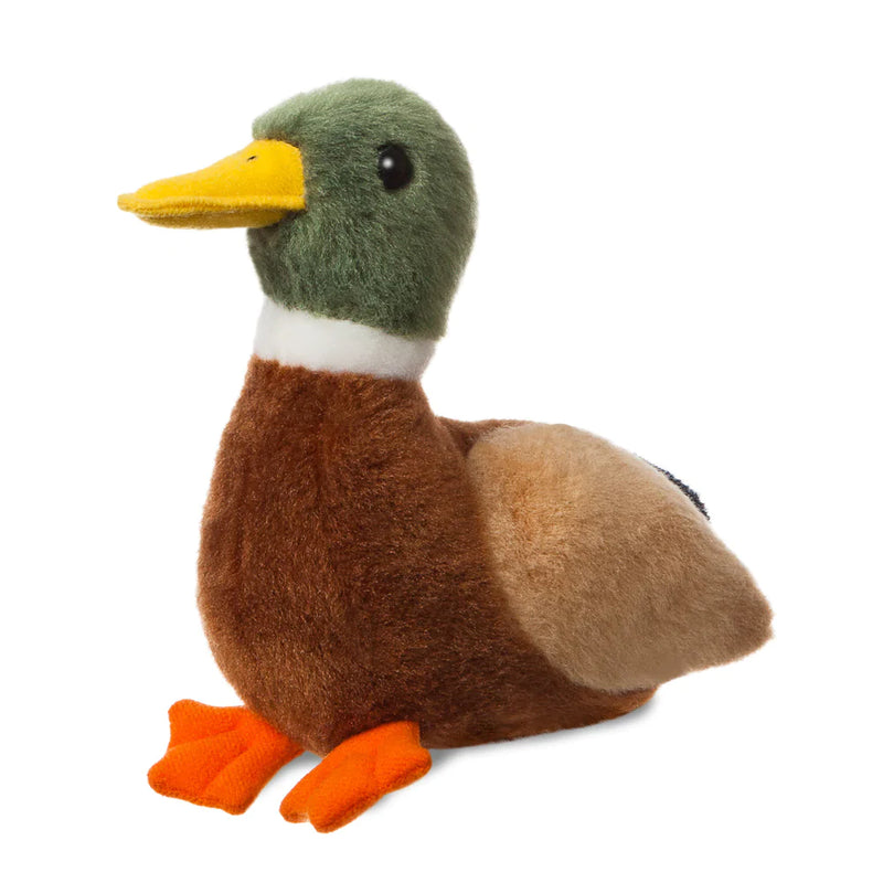 Stuffed mallard duck online