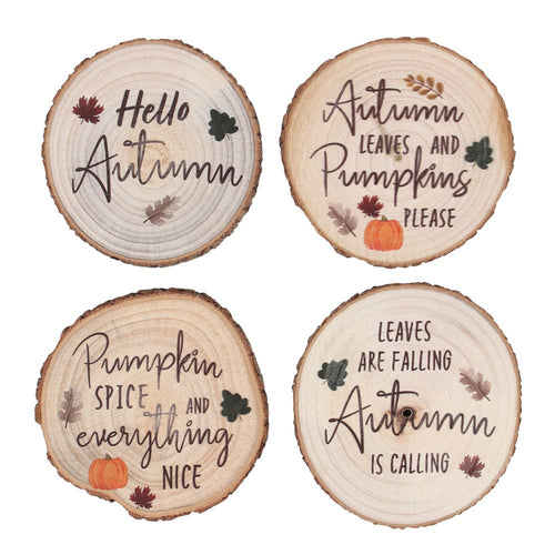 Hello Autumn Coaster Set
