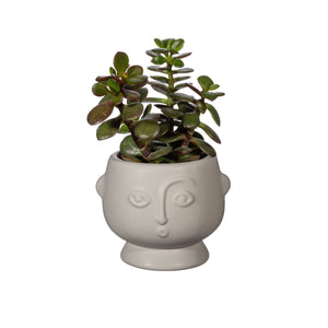 Small Face Planter