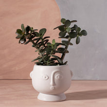 Small Face Planter